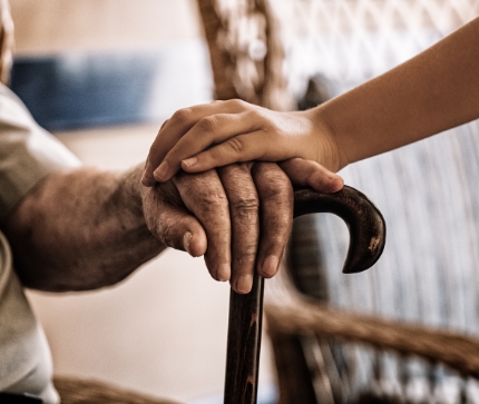 elder and youth hands